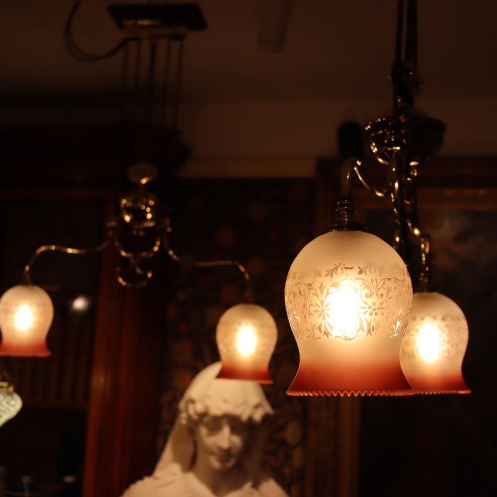Pair of English Art Nouveau rise and fall lights. Circa 1900  View VIII