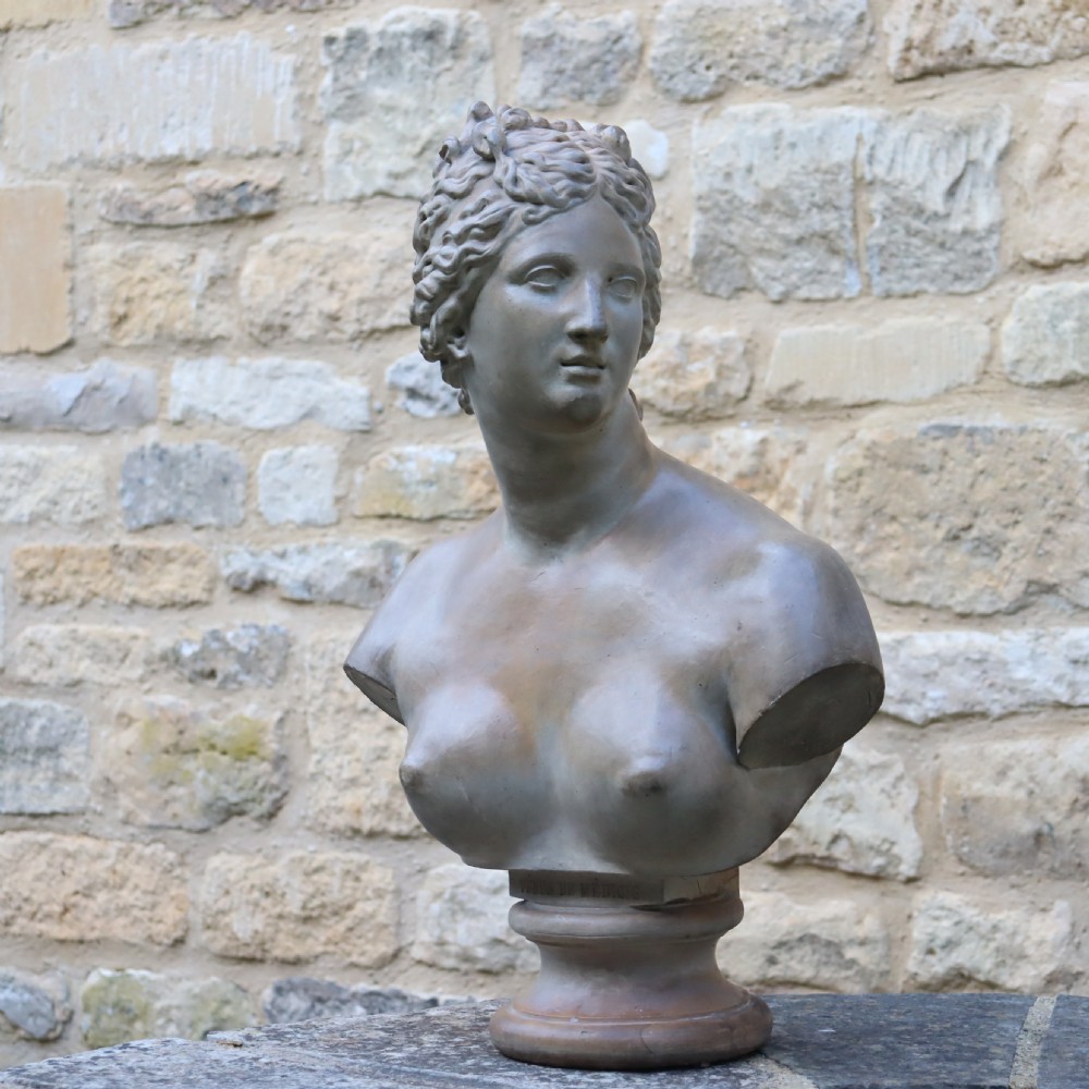 A 19th-century Italian patinated terracotta bust depicting the Venus de Medici set on a circular pedestal base.