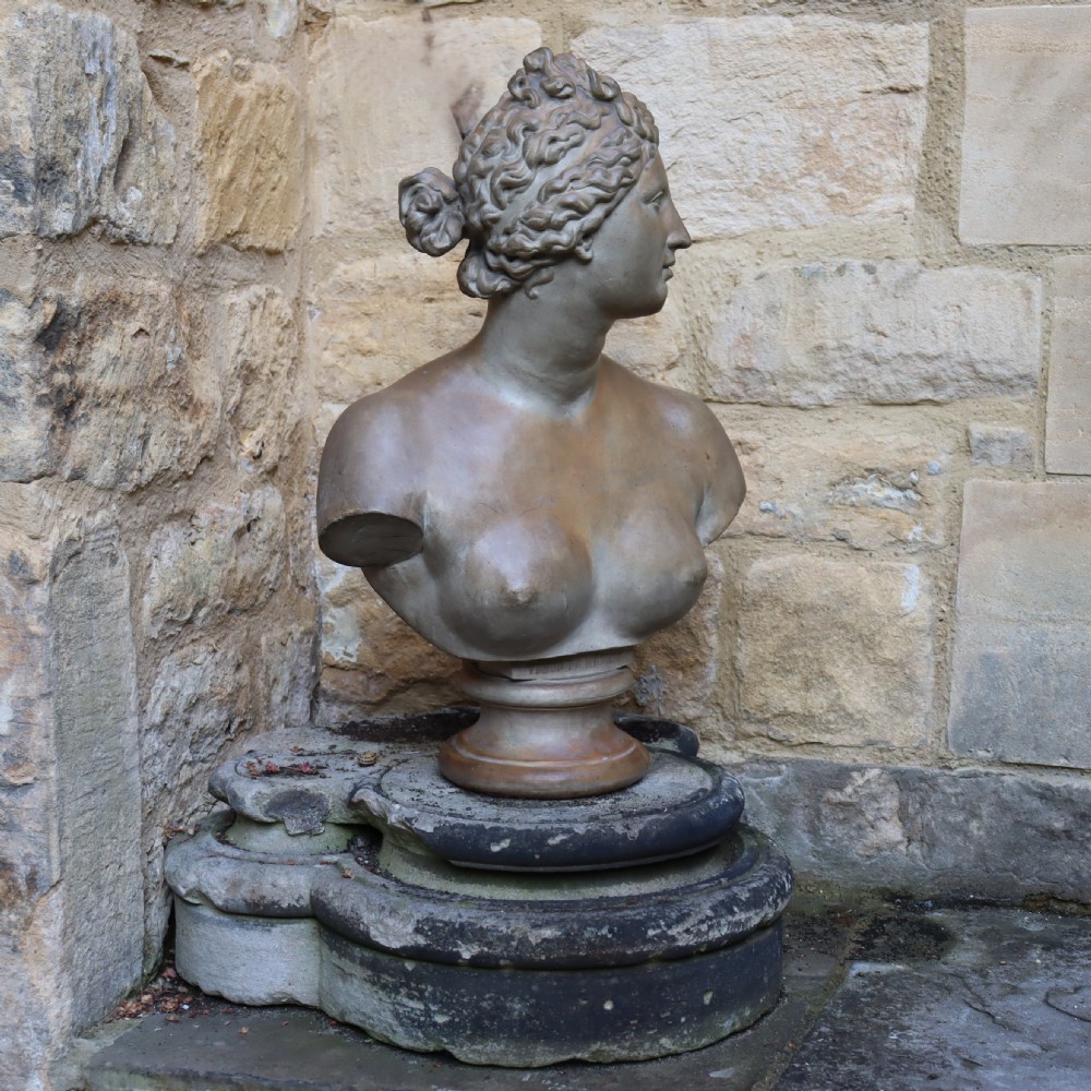 A 19th-century Italian patinated terracotta bust depicting the Venus de Medici set on a circular pedestal base. View II