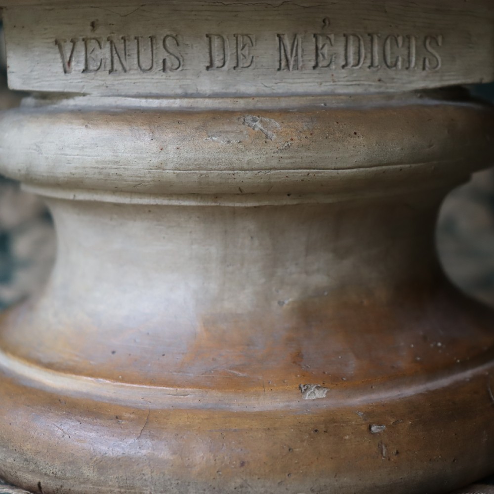 A 19th-century Italian patinated terracotta bust depicting the Venus de Medici set on a circular pedestal base. View IV
