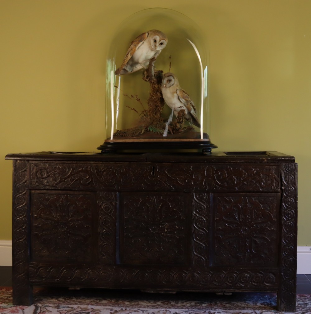 Victorian Taxidermy- Pair of Barn Owls with prey in the manner of Shaw of Shrewsbury View II