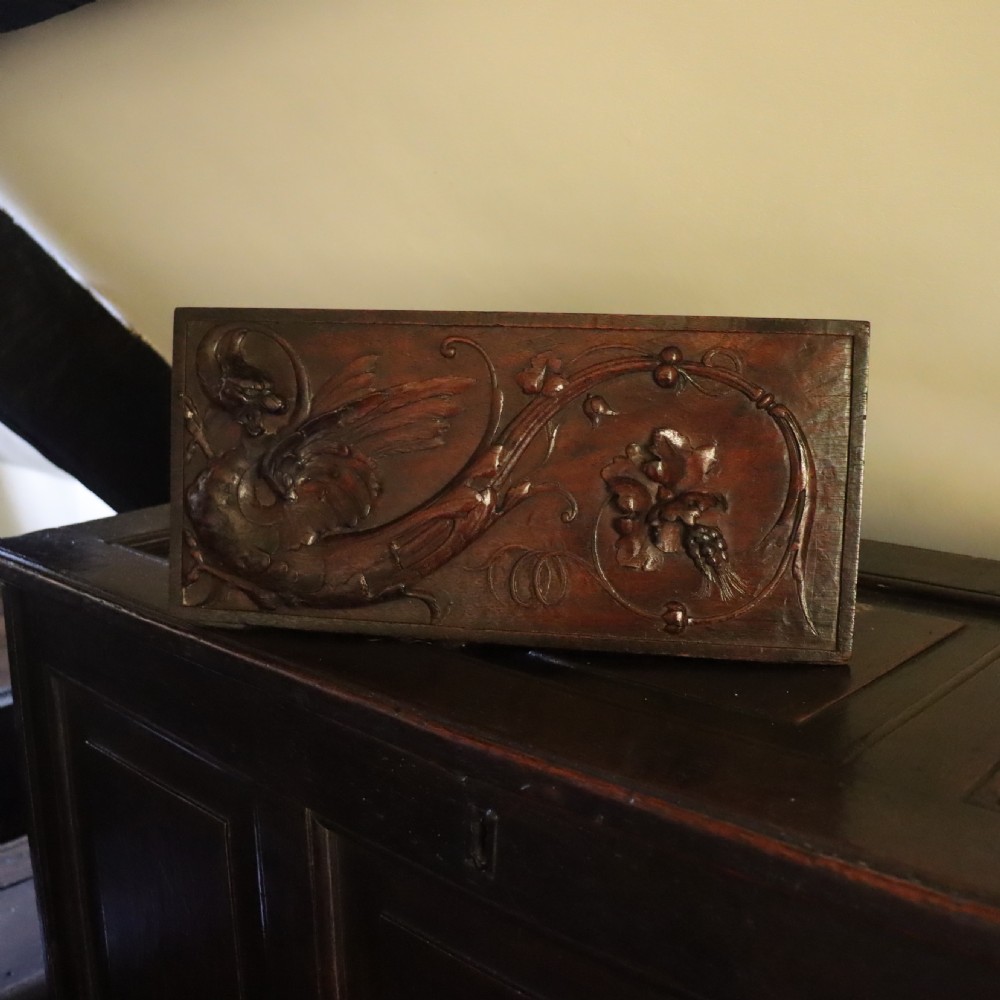 A 19th century carved walnut wall panel depicting a Wyvern or dragon