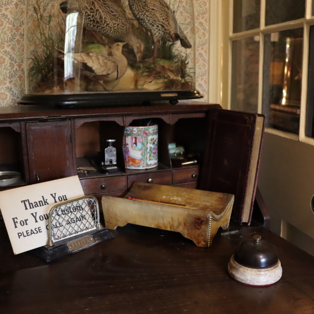 Rowland Ward of London Animal Hide desk tidy. Circa 1885 View V