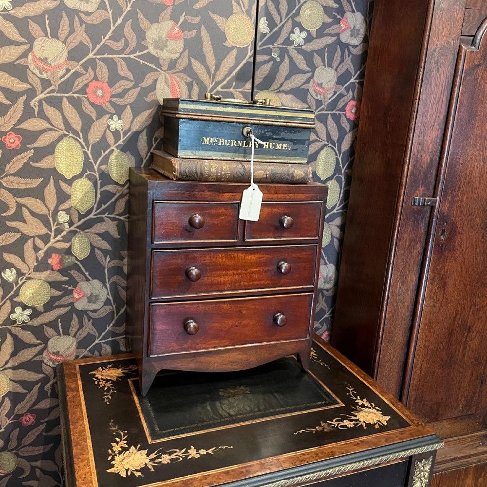 A Georgian mahogany miniature apprentice chest of drawers with turned wooden handles, four graduated drawers, and bracket feet. View IV