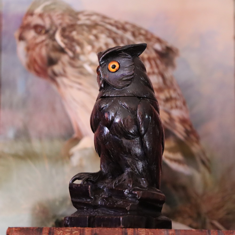 Charming Late 19th Century Black Forest owl ink well  View II