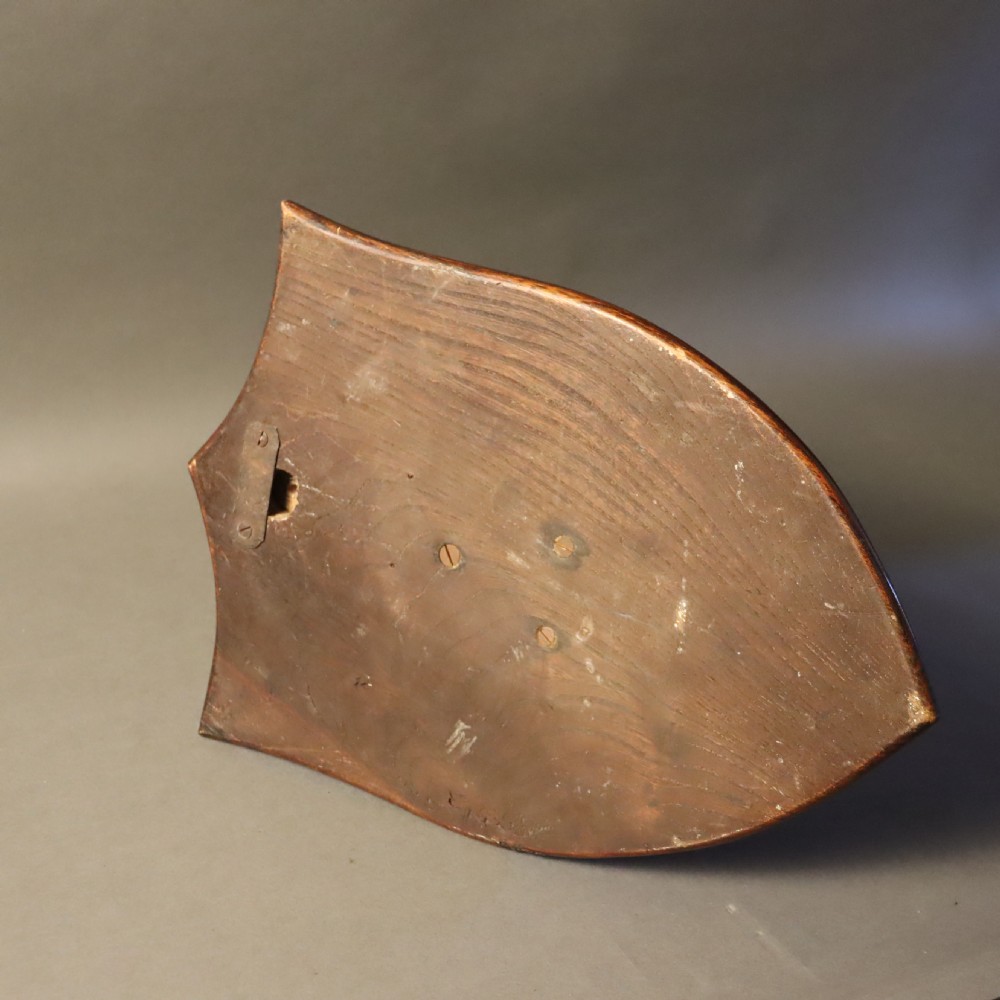 A Victorian taxidermy foxhound head with tan fur facing upwards, mounted on a polished oak shield board. View V