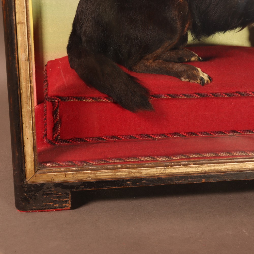 An early 20th-century cased taxidermy pet dog seated on a red fabric cushion against a painted sky background inside a glazed wooden case with gilt trim. View IX