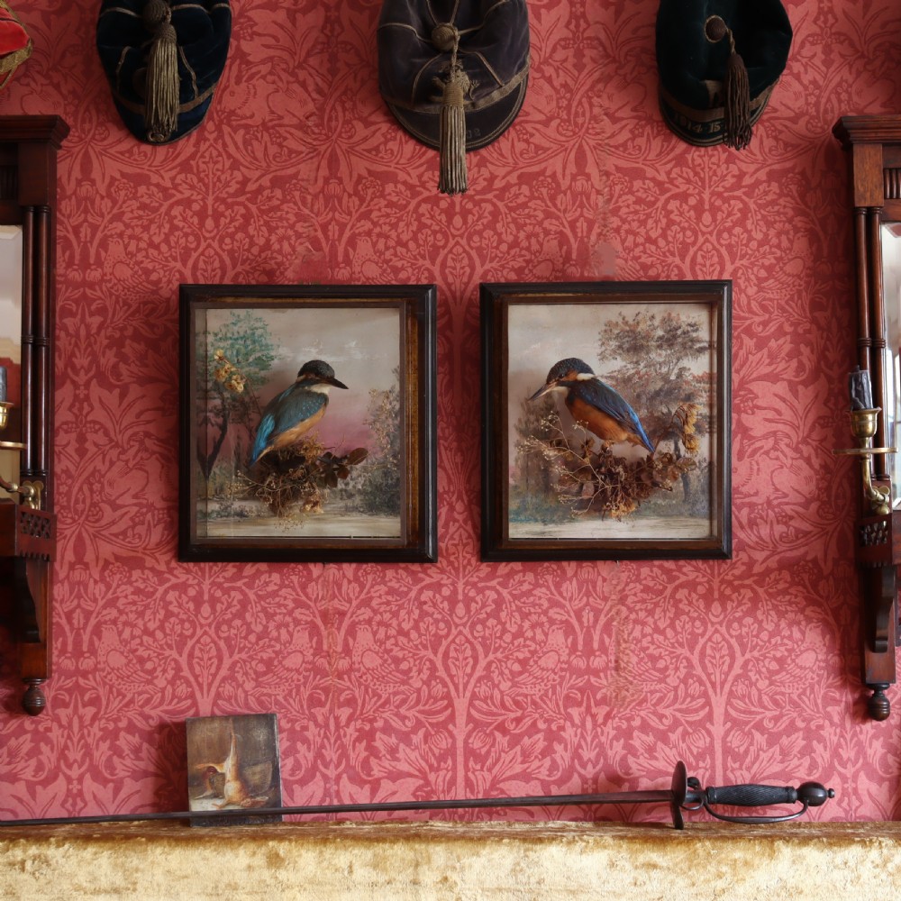 Antique Taxidermy – A Pair of picture frame cases by Rowland Green, each containing a Kingfisher with painted scenic back drop View II