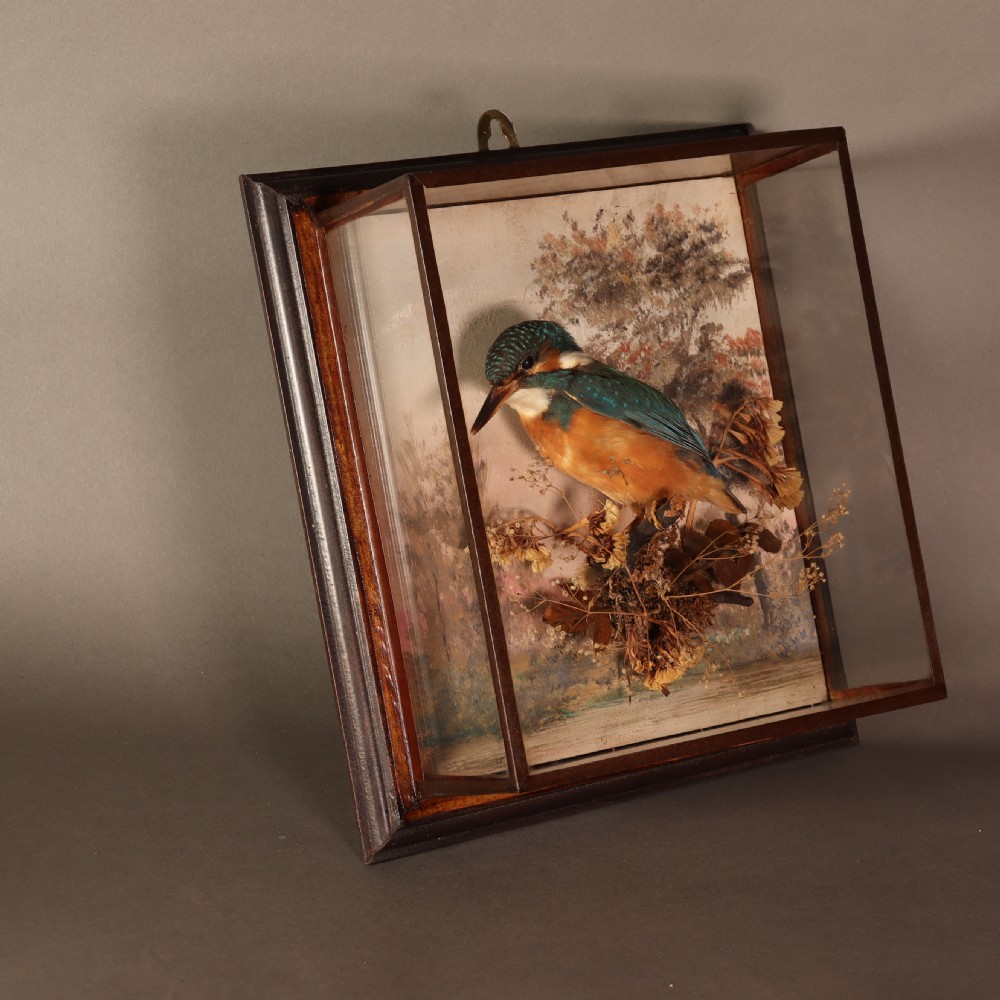 Antique Taxidermy – A Pair of picture frame cases by Rowland Green, each containing a Kingfisher with painted scenic back drop View V