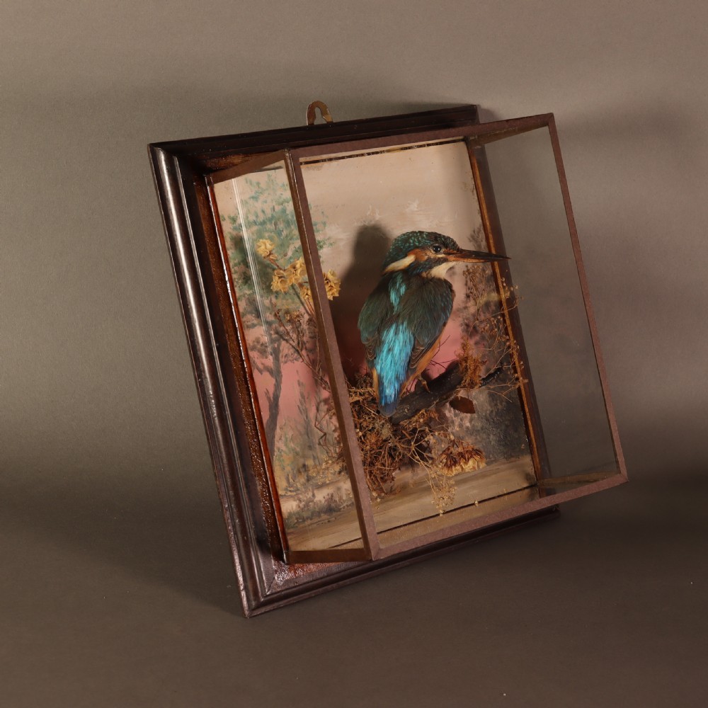 Antique Taxidermy – A Pair of picture frame cases by Rowland Green, each containing a Kingfisher with painted scenic back drop View VI
