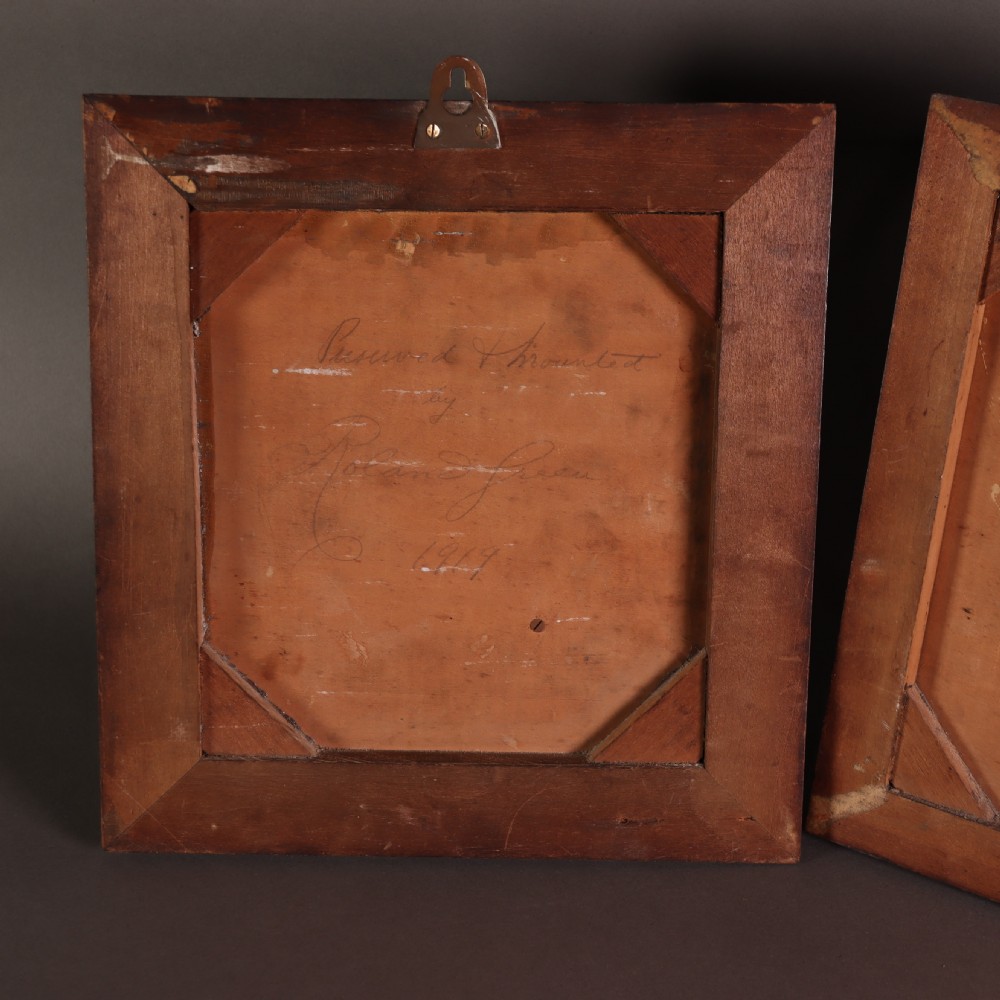 Antique Taxidermy – A Pair of picture frame cases by Rowland Green, each containing a Kingfisher with painted scenic back drop View VII