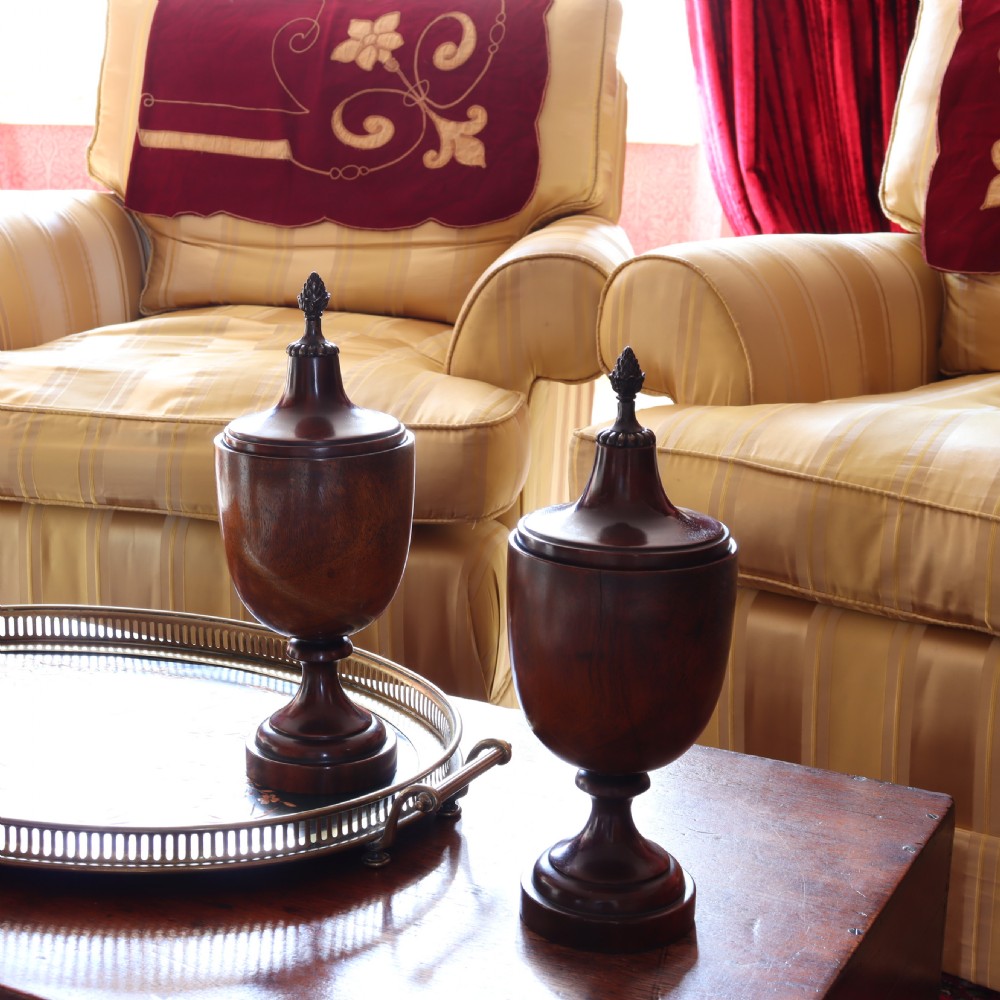 Treen – Pair of Neo Classical mid 19th Century mahogany lidded urns with brass pineapple inspired finials.  View III
