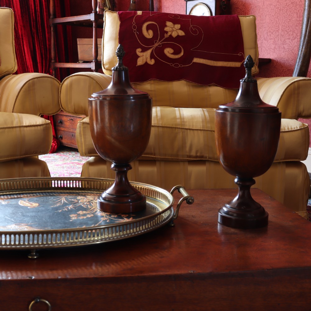 Treen – Pair of Neo Classical mid 19th Century mahogany lidded urns with brass pineapple inspired finials.  View IV