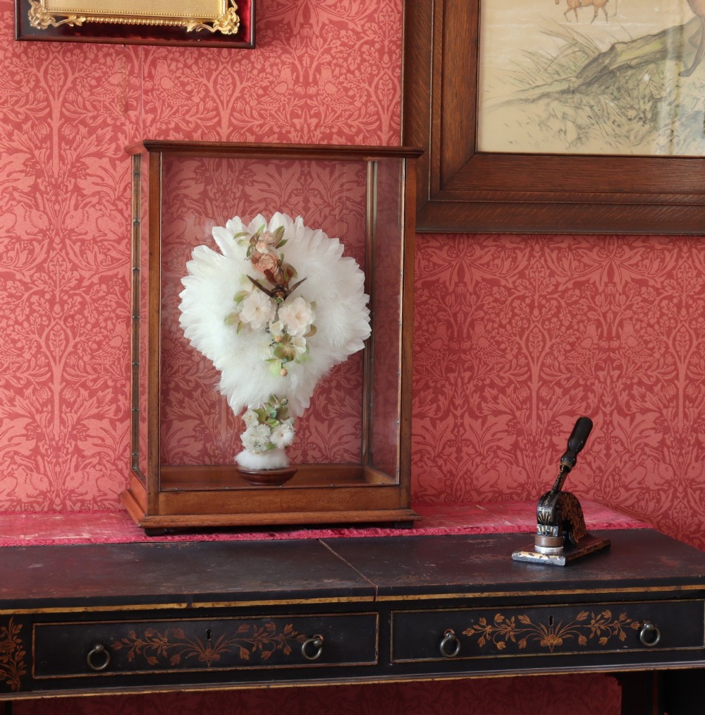 Victorian Taxidermy - A lady’s humming bird and feather fan in a museum quality mahogany case View II
