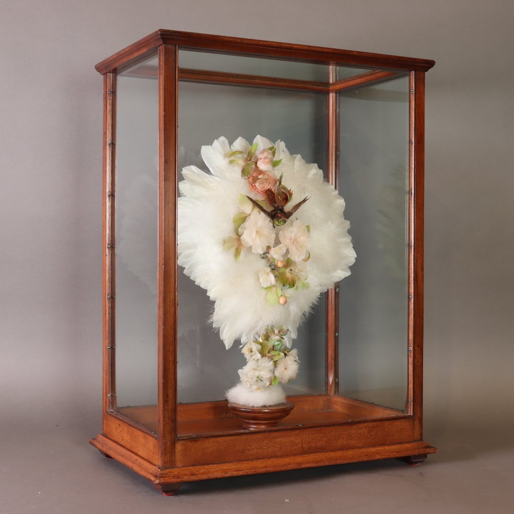 Victorian Taxidermy - A lady’s humming bird and feather fan in a museum quality mahogany case
