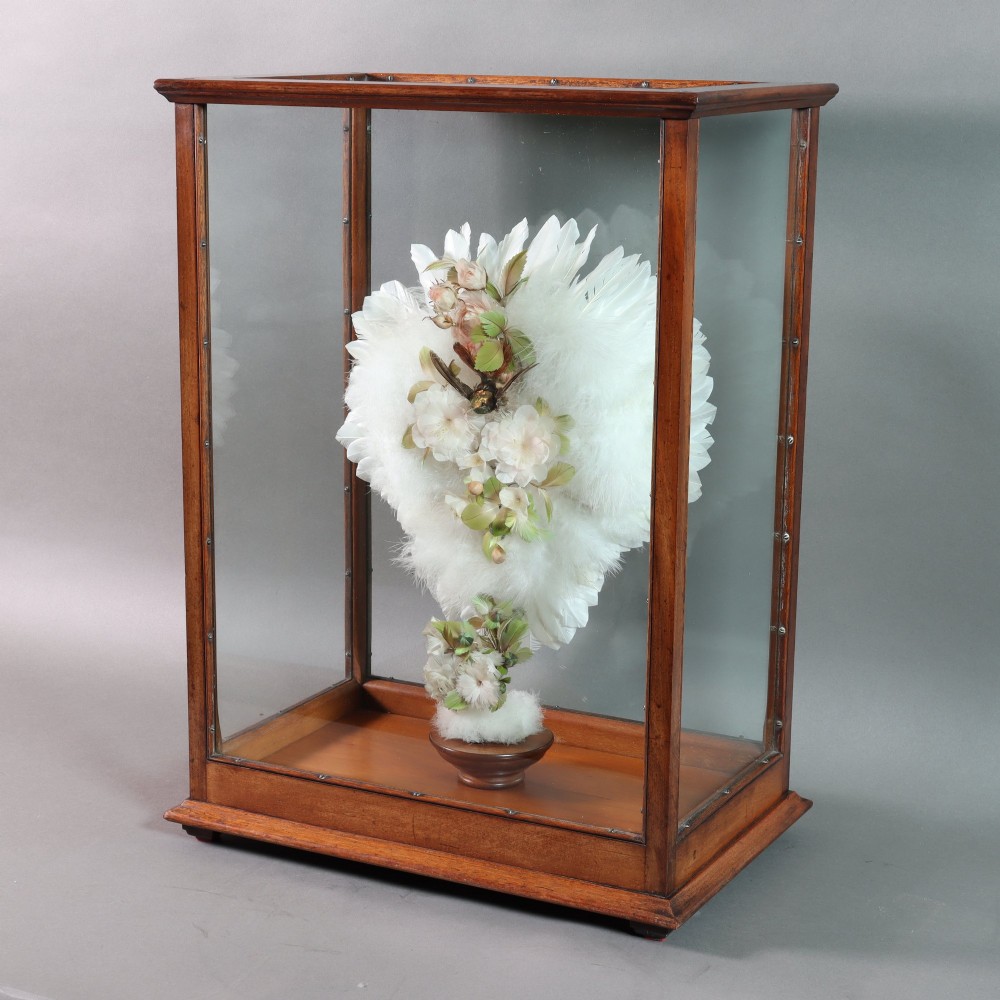 Victorian Taxidermy - A lady’s humming bird and feather fan in a museum quality mahogany case View III