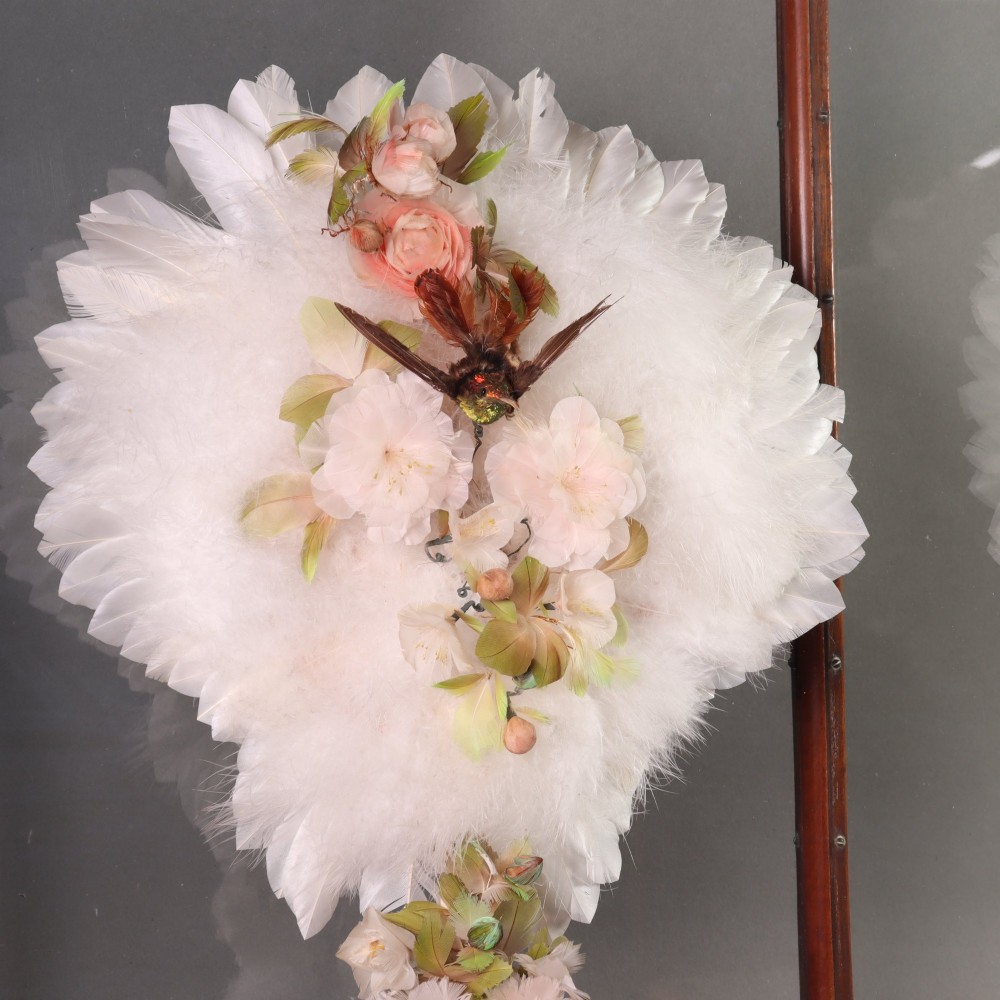 Victorian Taxidermy - A lady’s humming bird and feather fan in a museum quality mahogany case View IV