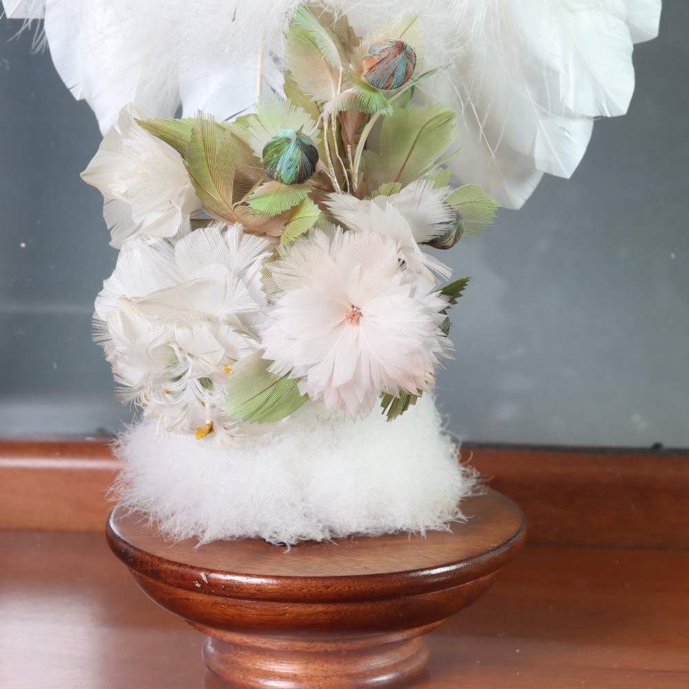 Victorian Taxidermy - A lady’s humming bird and feather fan in a museum quality mahogany case View VI