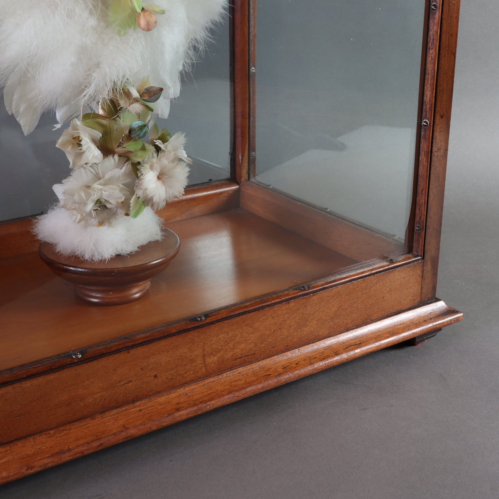 Victorian Taxidermy - A lady’s humming bird and feather fan in a museum quality mahogany case View VII