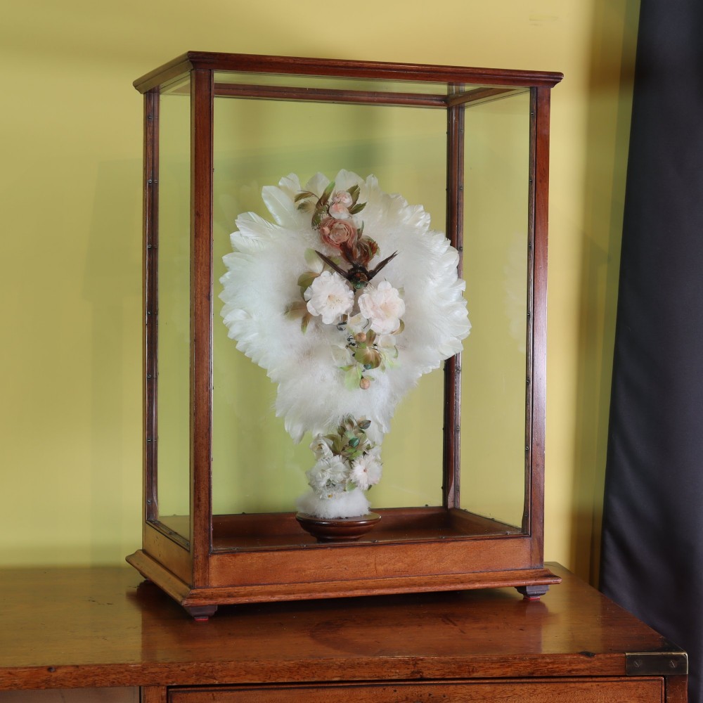 Victorian Taxidermy - A lady’s humming bird and feather fan in a museum quality mahogany case View IX