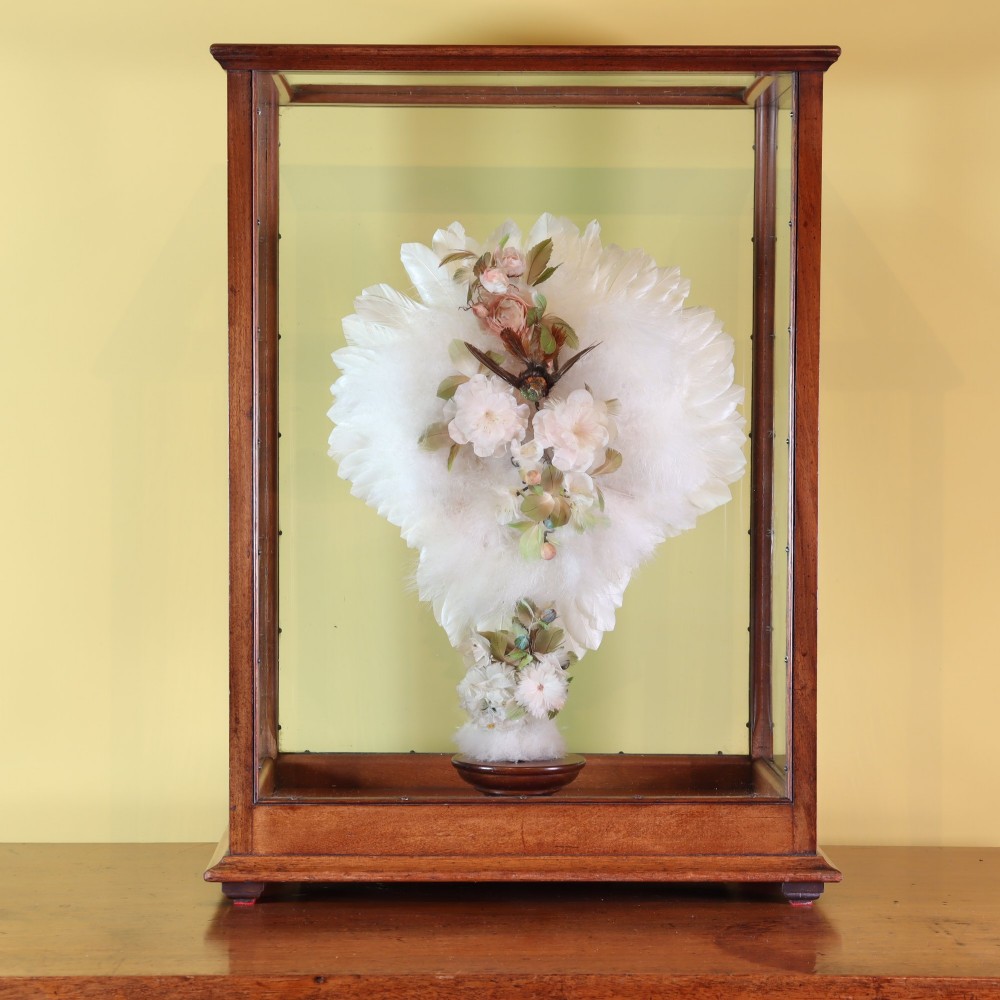 Victorian Taxidermy - A lady’s humming bird and feather fan in a museum quality mahogany case View X