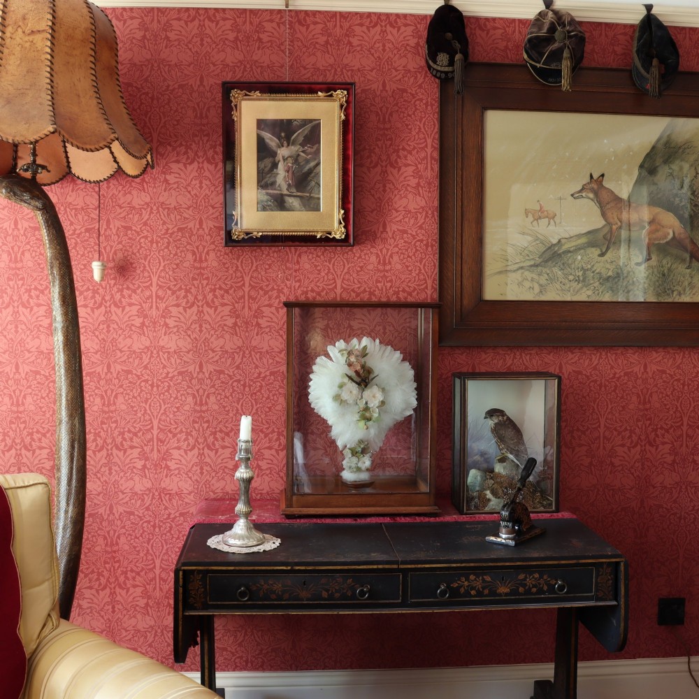 Victorian Taxidermy - A lady’s humming bird and feather fan in a museum quality mahogany case View XI