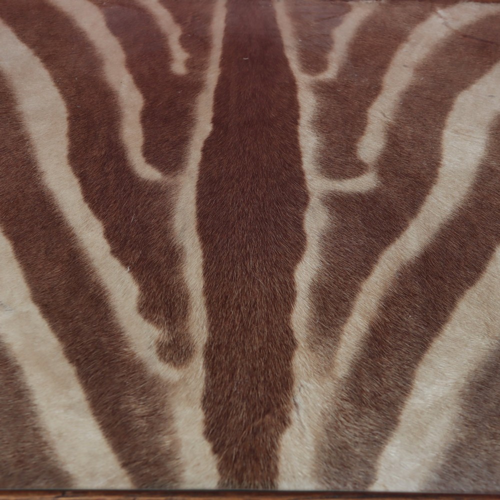 A rectangular oak occasional table featuring a zebra hide inset top protected by glass, supported by four tapered square legs. View IV