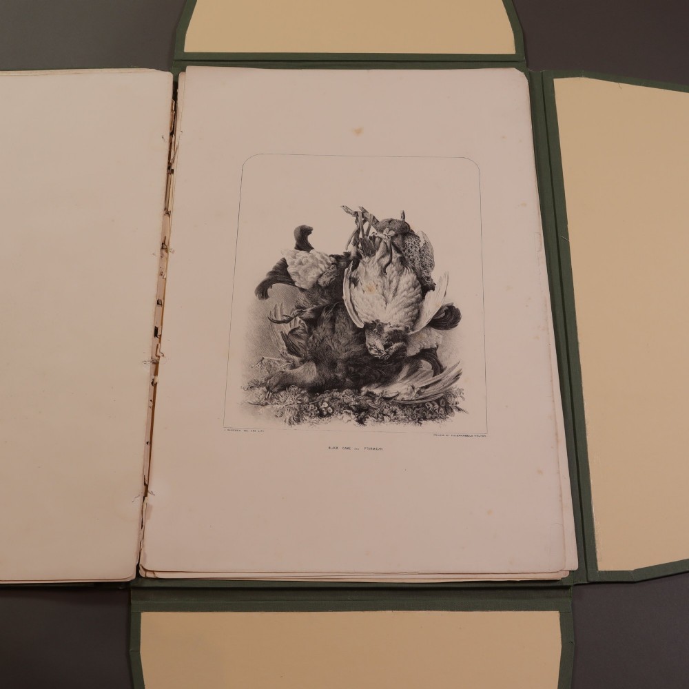 A Victorian natural history print depicting a falcon perched on a rock, displayed inside an open green portfolio. View X