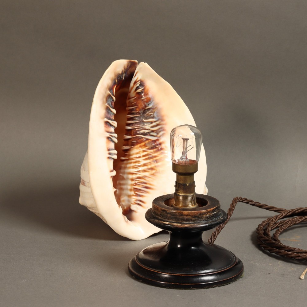 An illuminated 19th-century conch shell carved in relief with a scene depicting Mount Vesuvius, mounted on a turned ebonised wood base. View V