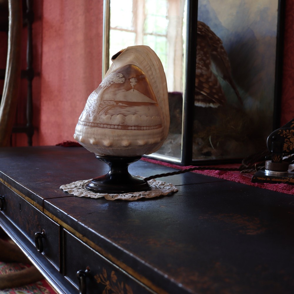 An illuminated 19th-century conch shell carved in relief with a scene depicting Mount Vesuvius, mounted on a turned ebonised wood base. View VI