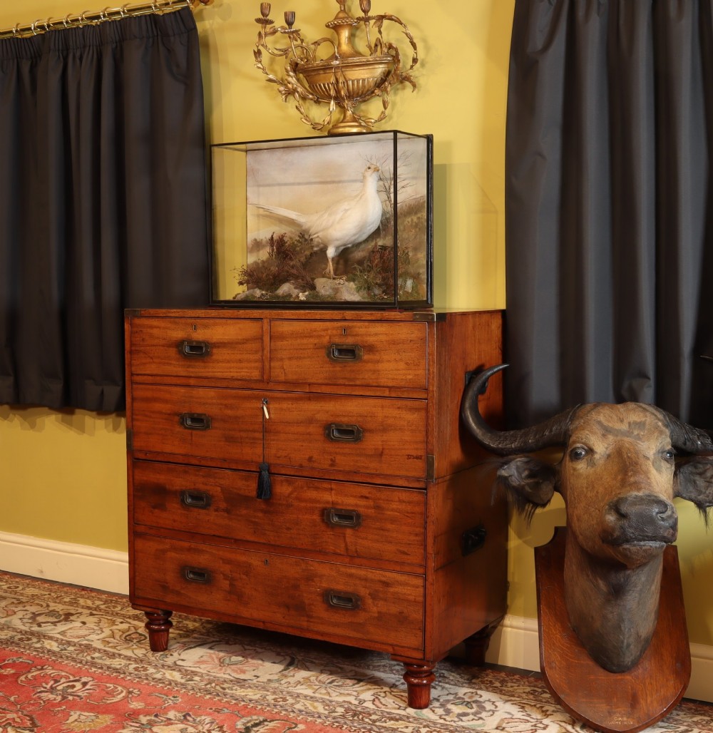A Victorian mahogany two-part military campaign chest of drawers featuring recessed brass handles, corner brackets, side carrying handles, and short turned feet. View II