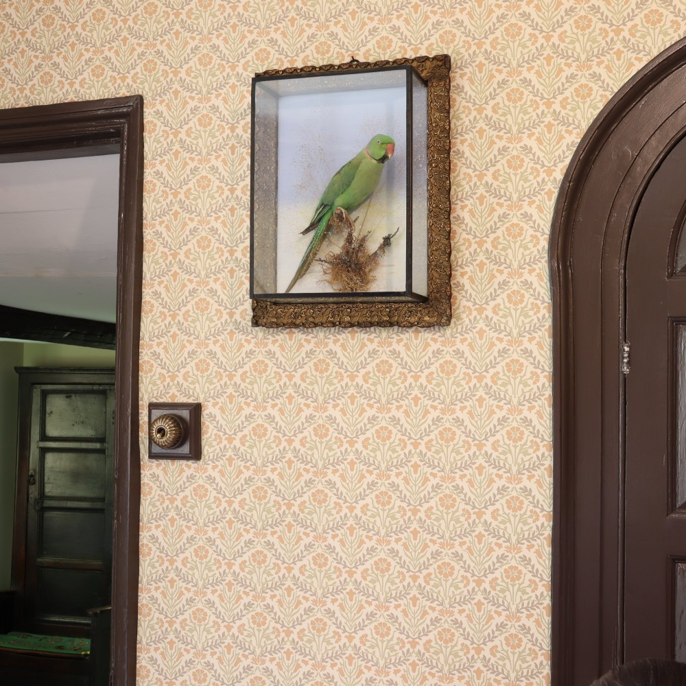A Victorian glazed shadowbox display containing a green ring-necked parakeet mounted on dried grasses inside a moulded gilt picture frame. View VI