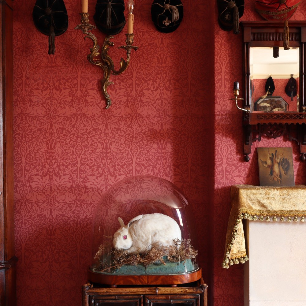 An antique Victorian taxidermy albino rabbit with pink glass eyes set in a dried moss landscape beneath a clear glass dome on a wooden base. View II