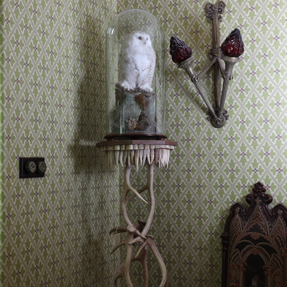 A late Victorian snowy owl taxidermy specimen perched on a faux rocky mount under a tall glass dome with a polished mahogany base. View V