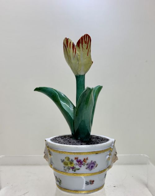 RARE MEISSEN MARCOLINI TULIP IN A TUB CIRCA 1780 PORCELAIN - ADDITIONAL PHOTO 2