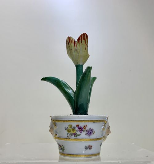 RARE MEISSEN MARCOLINI TULIP IN A TUB CIRCA 1780 PORCELAIN - ADDITIONAL PHOTO 4