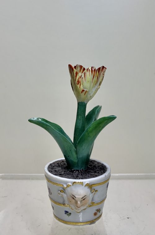 RARE MEISSEN MARCOLINI TULIP IN A TUB CIRCA 1780 PORCELAIN - ADDITIONAL PHOTO 5