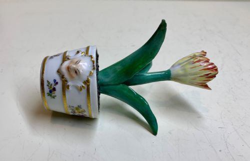 RARE MEISSEN MARCOLINI TULIP IN A TUB CIRCA 1780 PORCELAIN - ADDITIONAL PHOTO 7