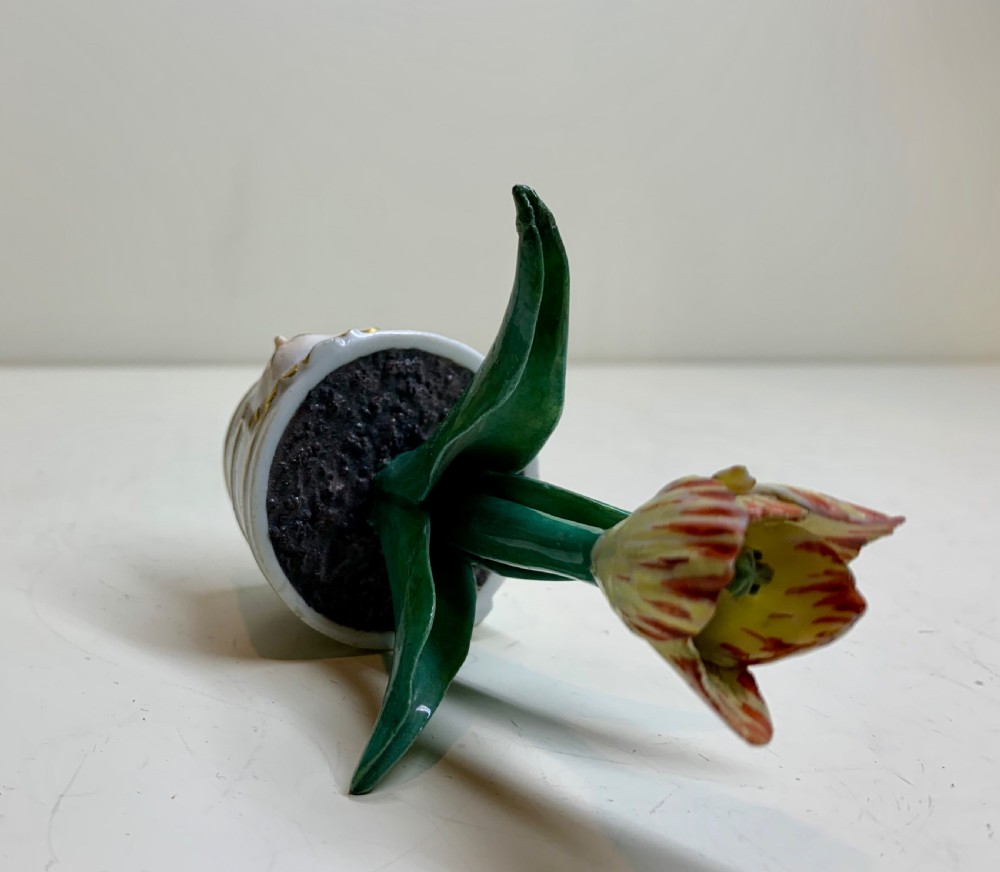 Rare Meissen Marcolini Tulip In a Tub Circa 1780 Porcelain View VII