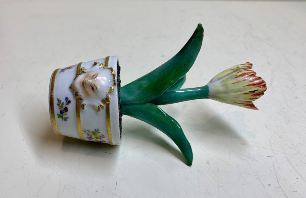 Rare Meissen Marcolini Tulip In a Tub Circa 1780 Porcelain View VIII
