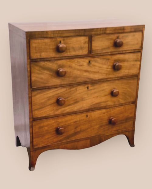 William IV Mahogany Chest of Drawers