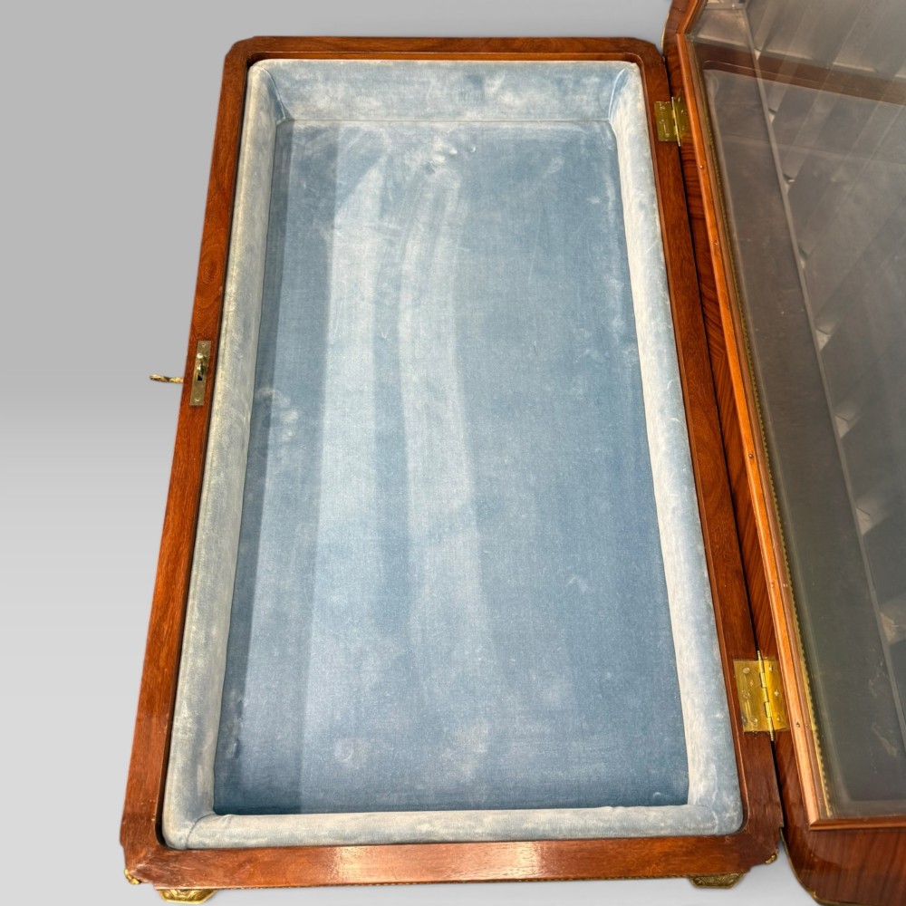 A rectangular French Louis XVI style bijouterie display table featuring a glazed glass top, decorative gilt bronze mounts along the frieze, and slender tapered legs ending in brass sabots. View VIII