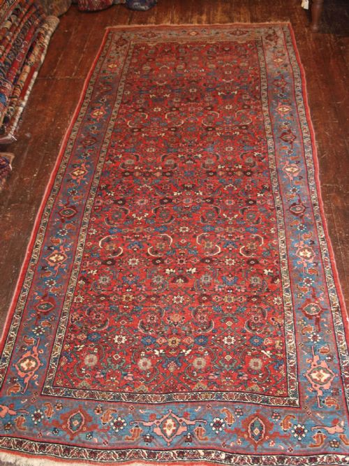 Antique Bidjar Kelleh, Herati Design, Light Blue Border, Circa 1900