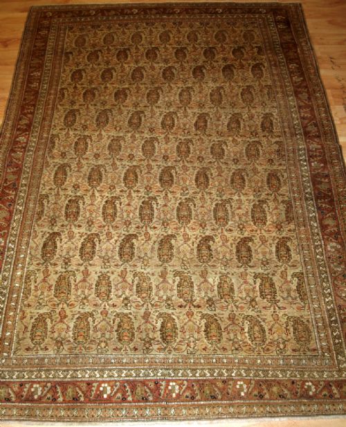 Antique Senneh Rug, Ivory Ground with Boteh, Very Fine, Circa 1900