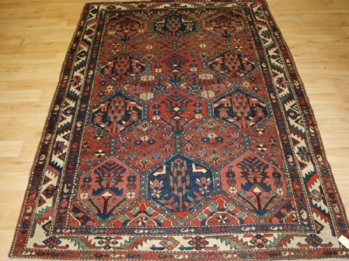 Antique Central Persian Bakhtiari Rug, Garden Design with Trees and Birds, Circa 1900/20.