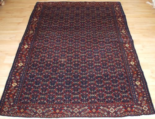 Antique Senneh Rug, All Over Fine Heratti Design, Circa 1900