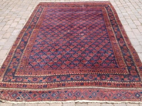 Antique Timuri Baluch Main Carpet, Excellent Colour, Unusual Shrub Design, 2nd Half 19th Century.
