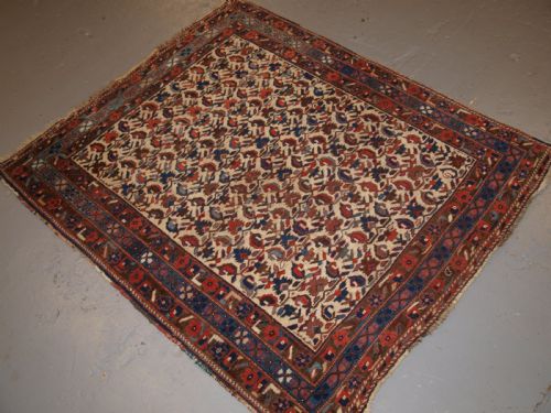 fig 1. ANTIQUE PERSIAN AFSHAR RUG, KERMAN REGION, ALL OVER DESIGN, CIRCA 1900.