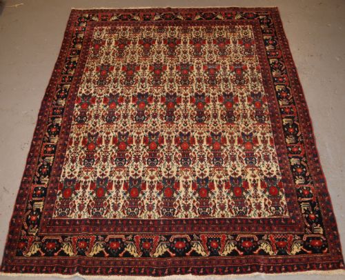 Antique Senneh Rug with Zili Sultan Design, Superb Colours, Circa 1900/20.