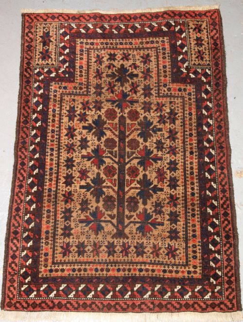 Antique Afghan Baluch Prayer Rug with Tree of Life and Stars, Late 19th Century.